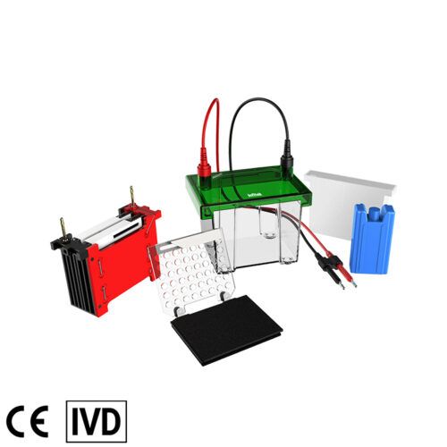 GEP-TH-ZY02 Mini Transfer Electrophoresis Tank