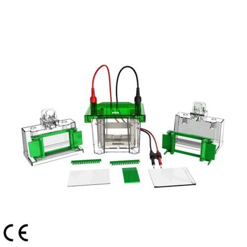 Mini Vertical Electrophoresis Tank, GEP-VH-1