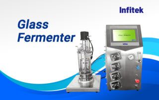 Laboratory Glass Fermenter
